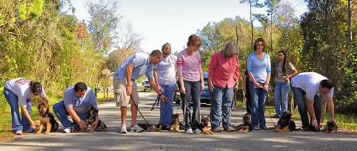 ICNDF Dog Training Center St Augustine Florida