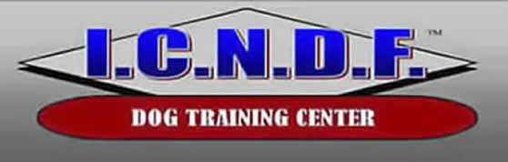 Logo; images/icndfnewlogo_014_000.jpg