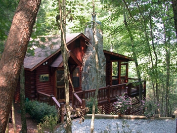 Bearly There Blue Ridge Cabin Rental