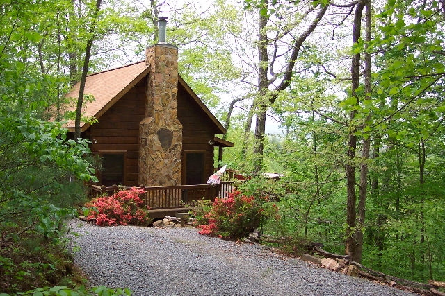 Lost Moose Lodge Pet Friendly Cabin