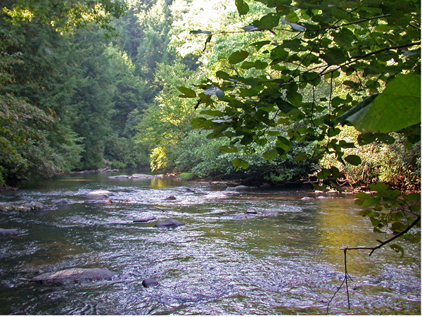 Ellijay Cabin Rental River S Reach